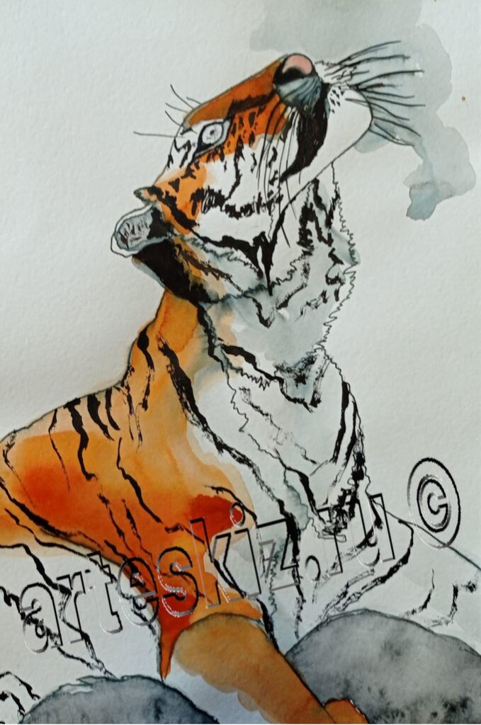 Тигр акварелью и черной тушью