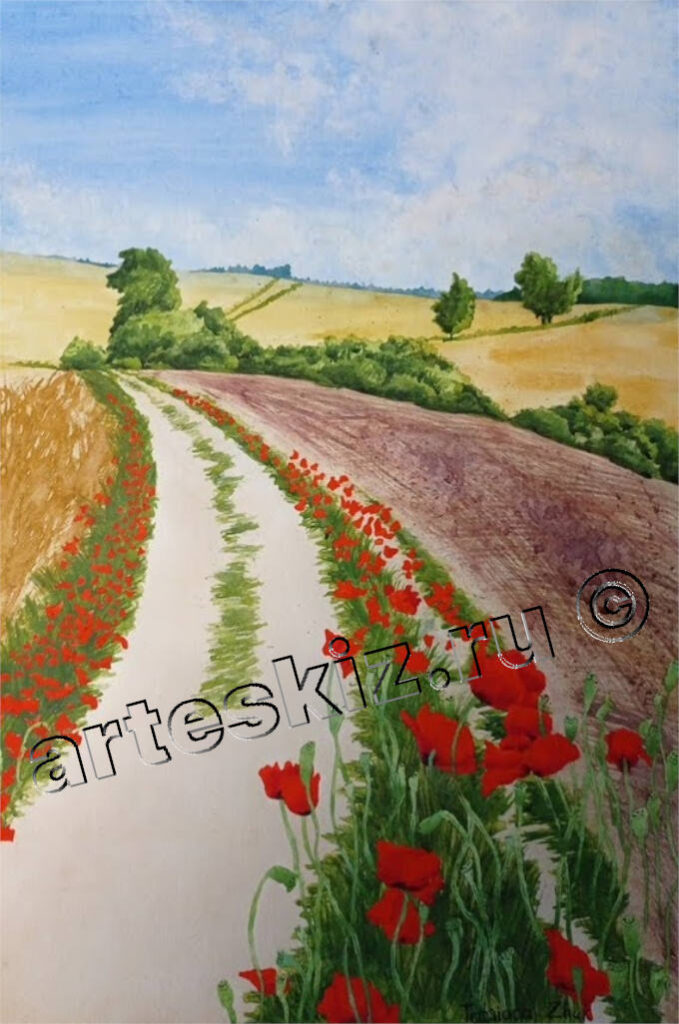 Красные маки у просёлочной дороги акварелью